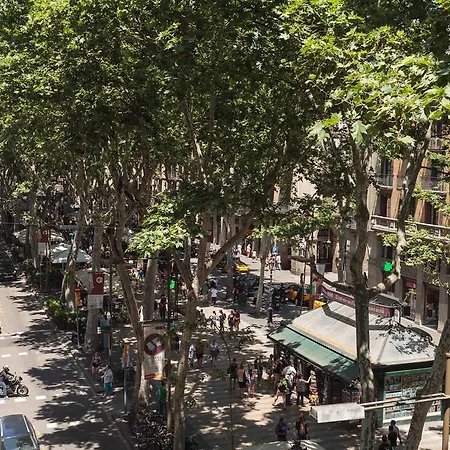 Guest house Benidorm Barcelona